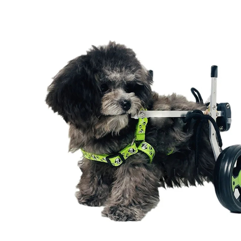 Metal Dog Wheelchair for Disabled Pets 4 Wheel Support Aid for Hind Legs Elderly Dogs Cats
